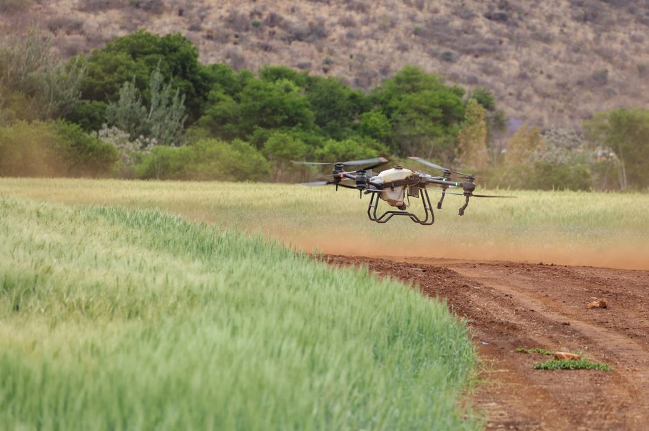 A drone flying over a vibrant green crop field, showcasing modern agricultural technology.